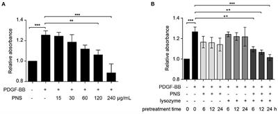 Lysozyme Improves the Inhibitory Effects of Panax notoginseng Saponins on Phenotype Transformation of Vascular Smooth Muscle Cells by Binding to Ginsenoside Re